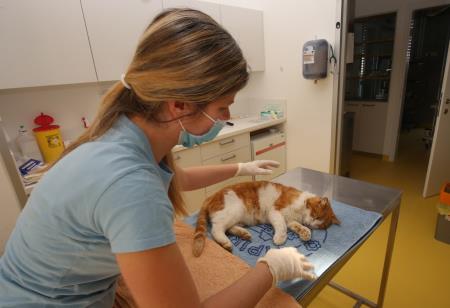 ZAVETIŠČE GMAJNICE PODPIS KONCESIJSKE POGODBE 37 FOTO LJUBO VUKELIČ